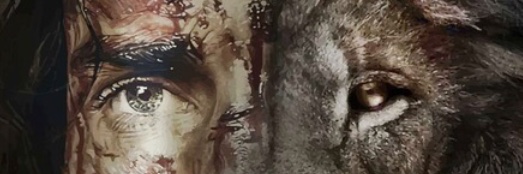 daianerodriguew's profile banner image