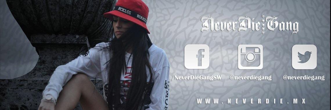 NeverDieGang's profile banner image