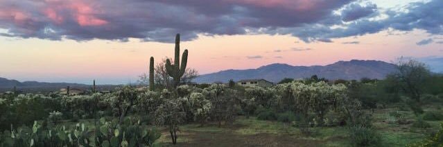 TaylorLuree's profile banner image