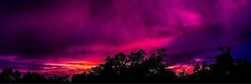 MuscaraMath's profile banner image