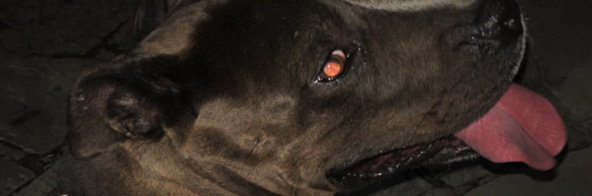 pierrepompeu's profile banner image