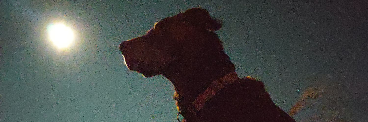 bburmester5's profile banner image