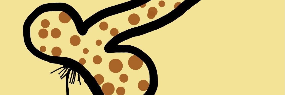 deephrenology's profile banner image