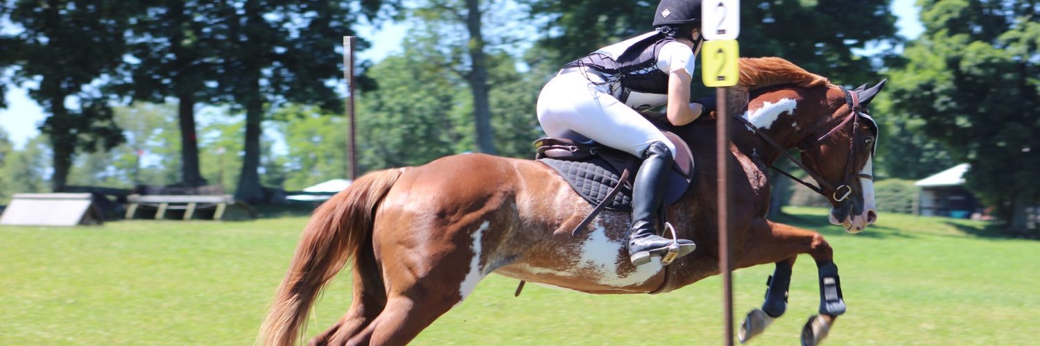 mollysuttonn's profile banner image