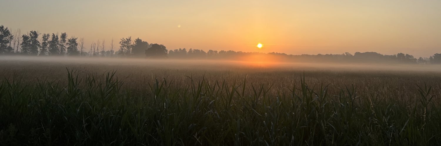 HarzBirder's profile banner image