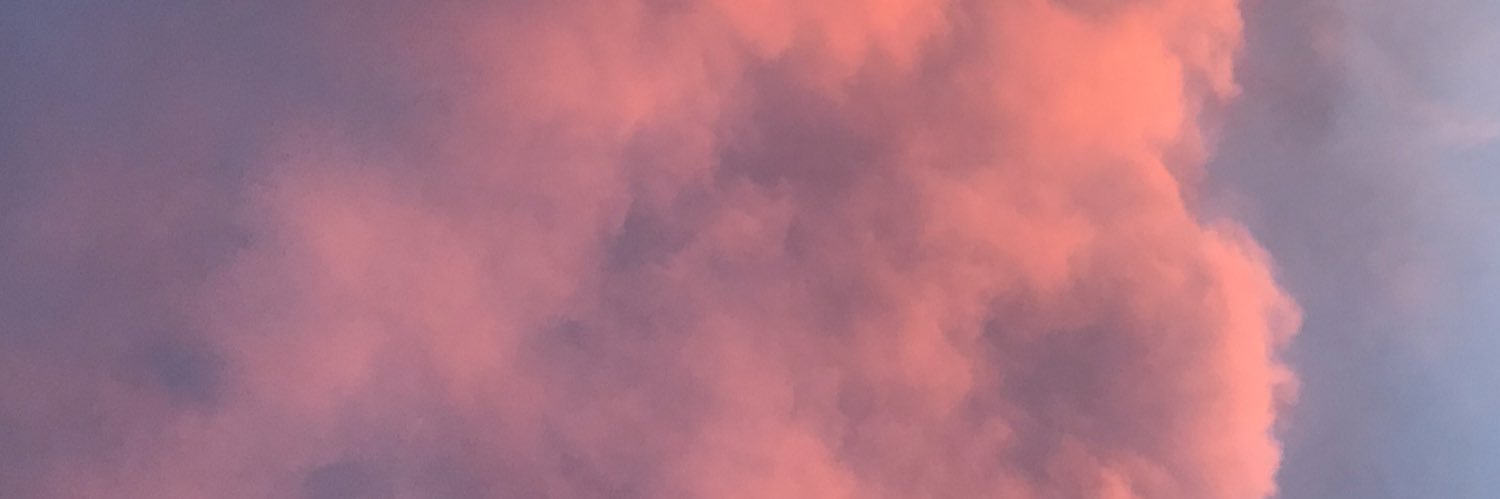 AniCardoso2's profile banner image