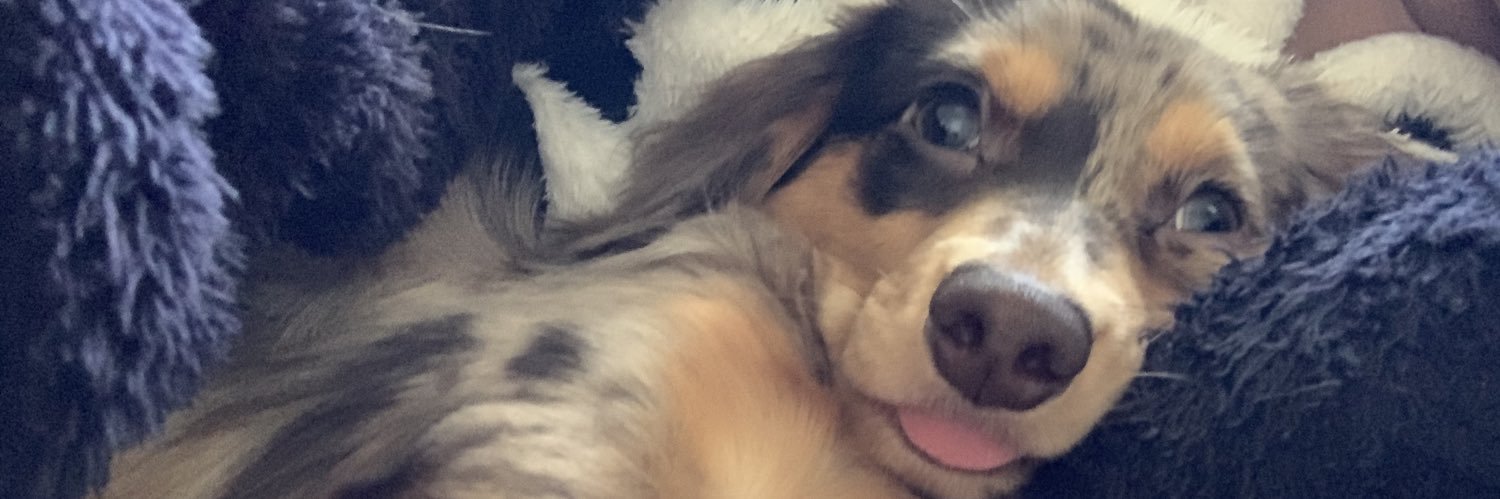 ru_kunn's profile banner image