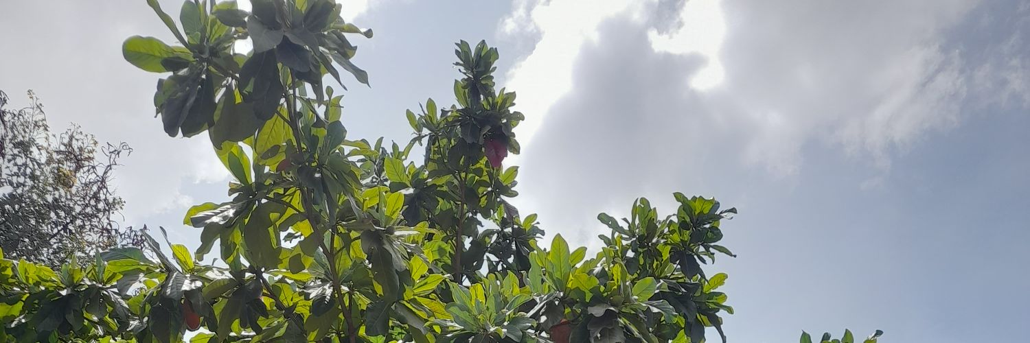 sime_adan's profile banner image