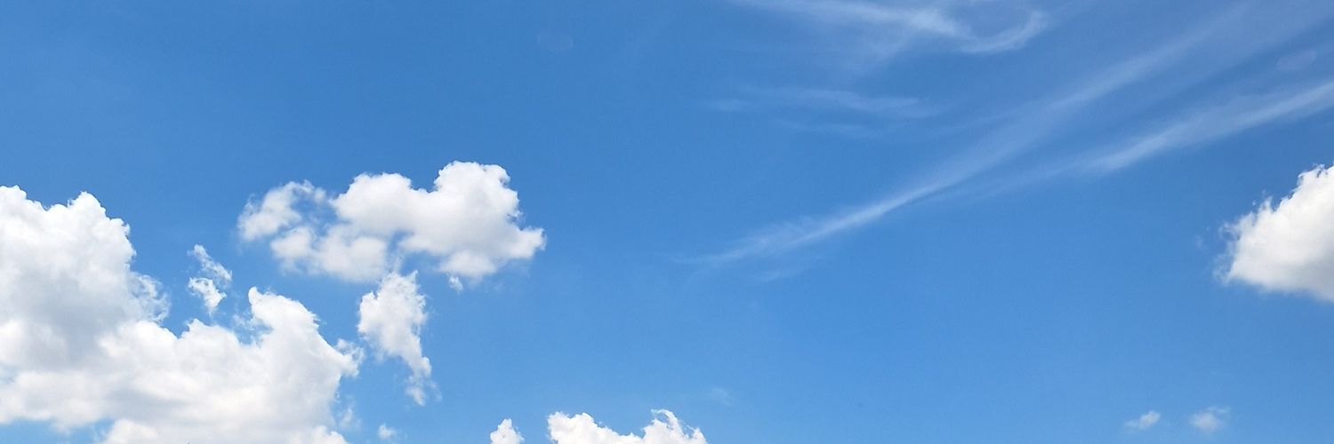 togrillada's profile banner image