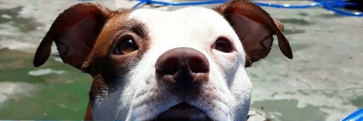 alasio73's profile banner image