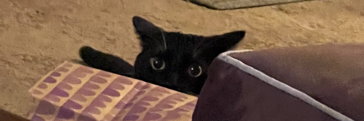 Tyrijr's profile banner image