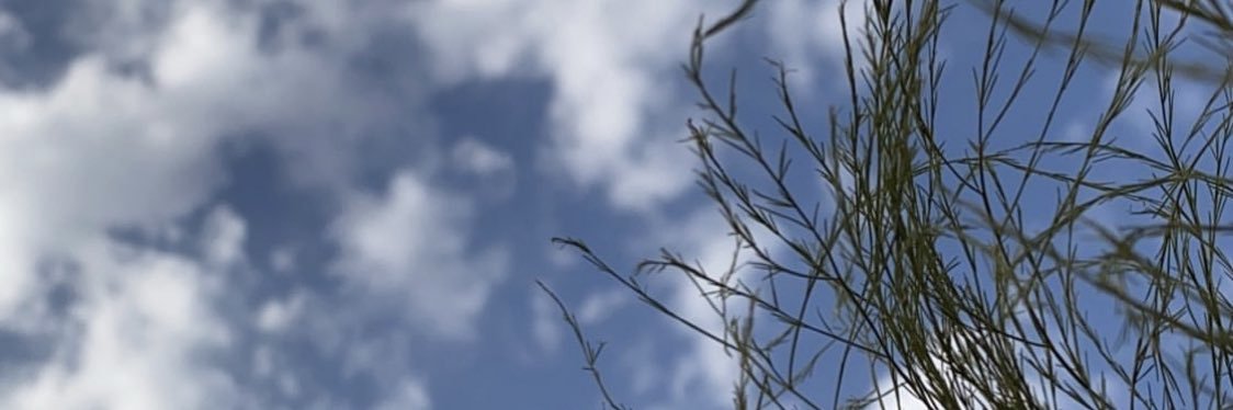 hkdoss_96's profile banner image
