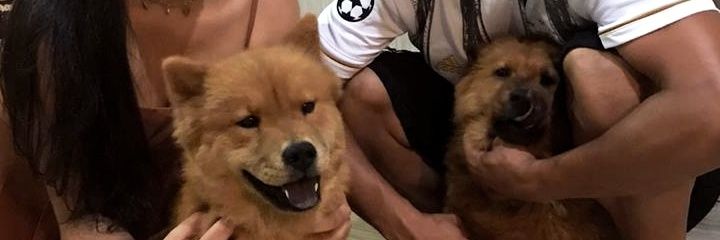Vulgo_2F's profile banner image
