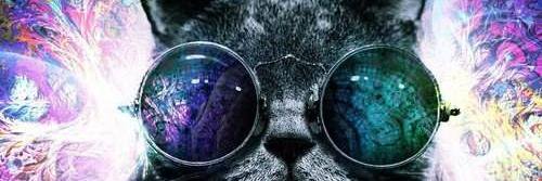 polytanbionico's profile banner image