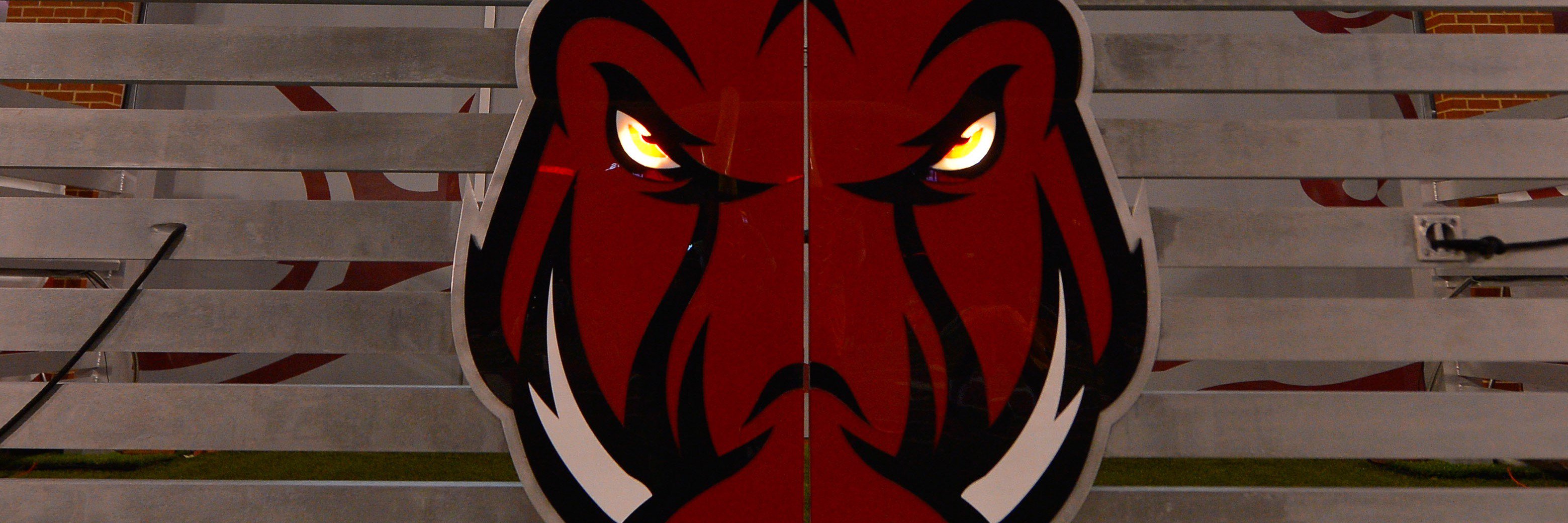 Razorbacks on SDS banner