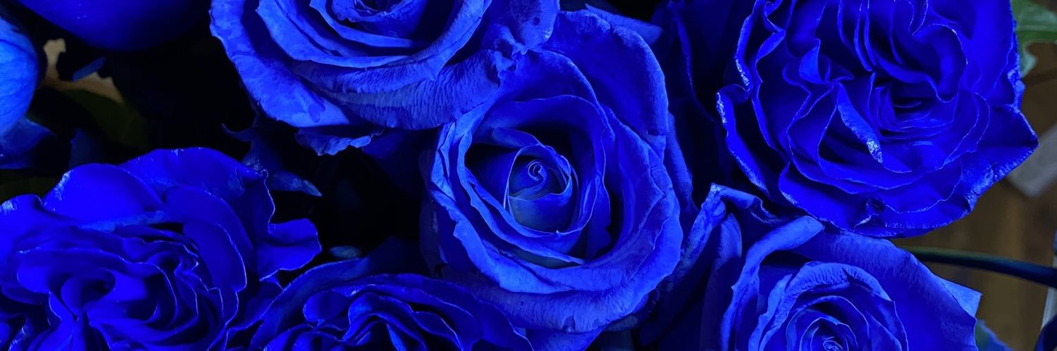 melissvxo_'s profile banner image