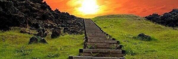 david sanchez (bono) banner