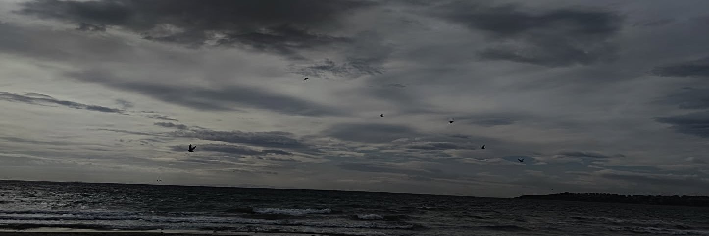 erenerdgn's profile banner image
