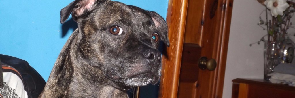 Dean Phillips 🇬🇧 banner