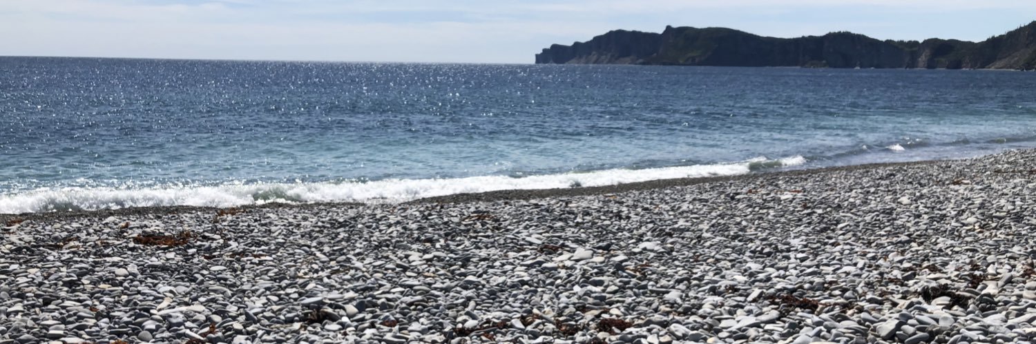 Hallie Cotnam banner