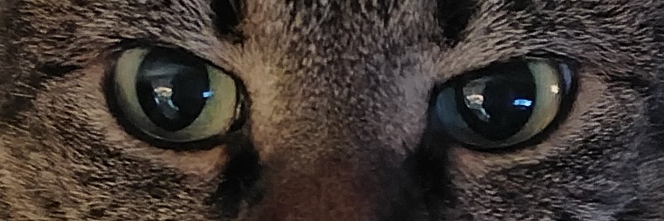 DxBang3D's profile banner image