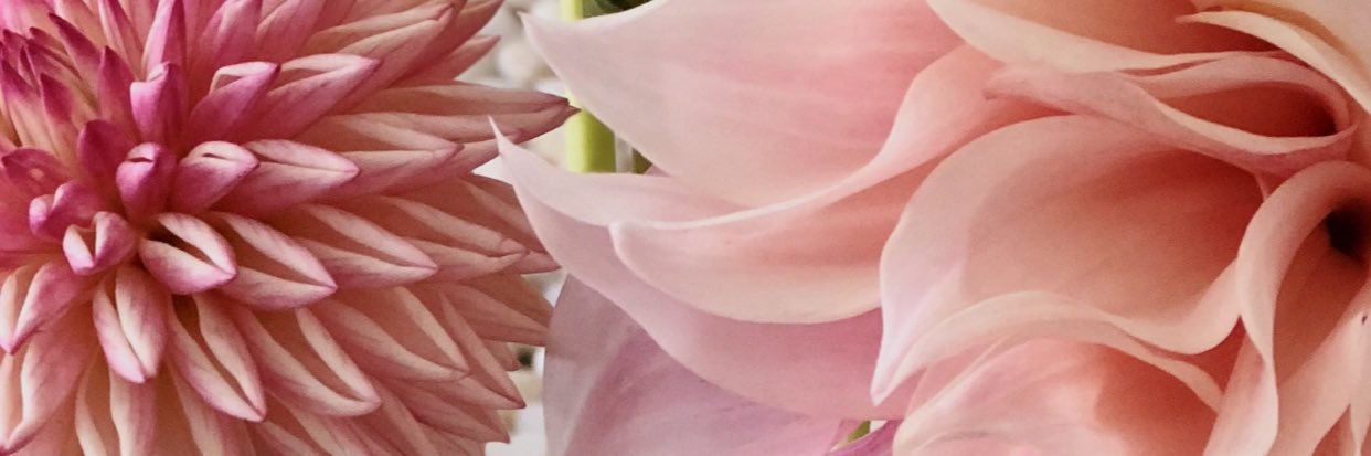 Andy banner