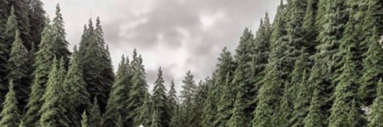 olga_gog's profile banner image