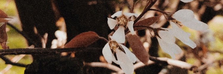 BMarte's profile banner image