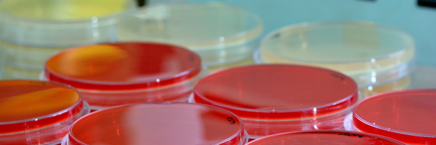 BMIGSA uOttawa banner