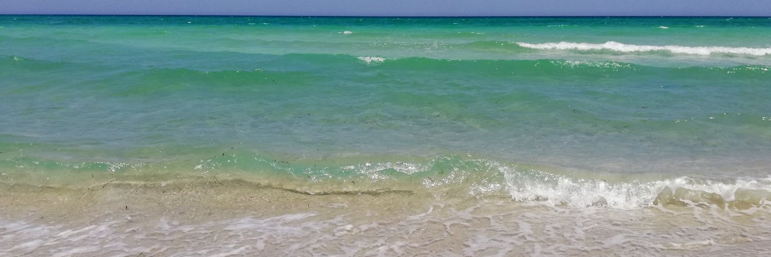 Annet_Taylor's profile banner image