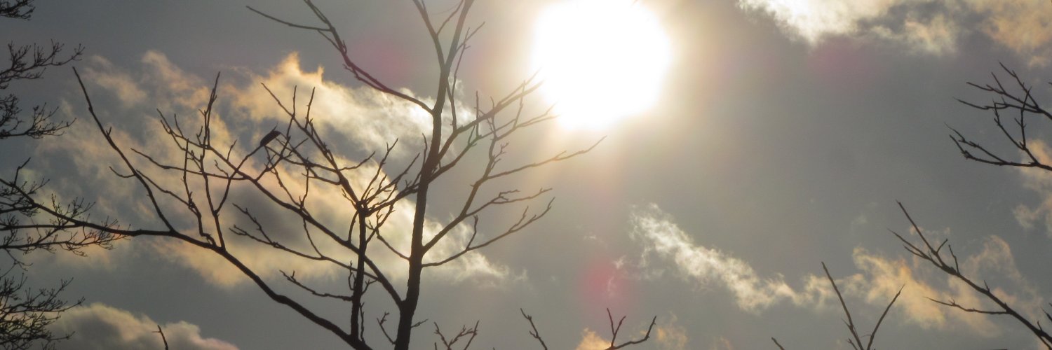 SmileyLovely123's profile banner image