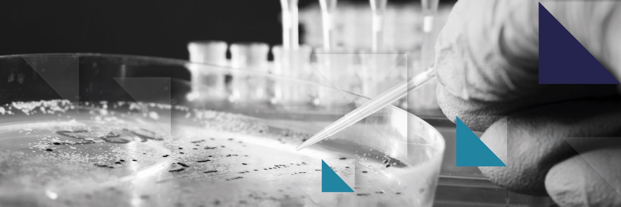 Antimicrobial Resistance and Infection Control banner