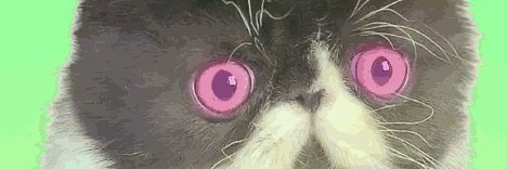 BreedTheFish's profile banner image