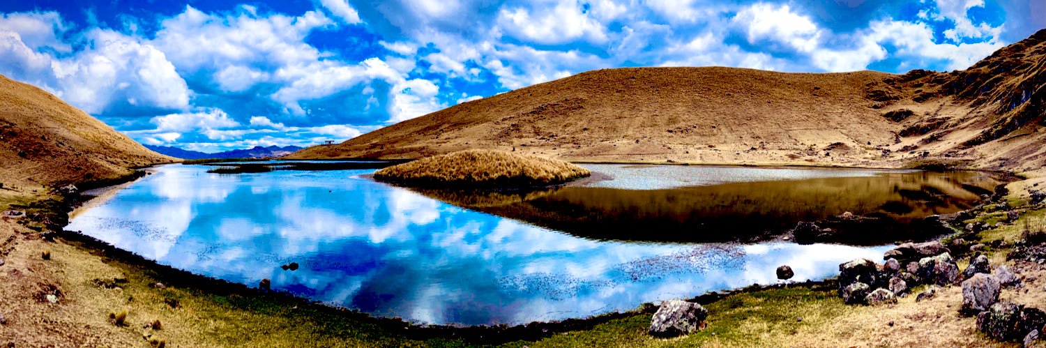 Veronica Chelu banner