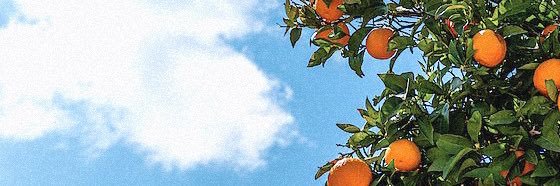 georgiamil's profile banner image