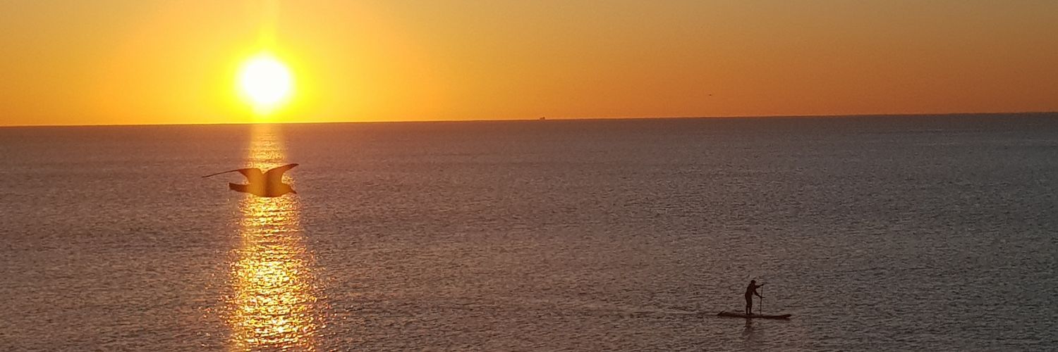 lwvok's profile banner image