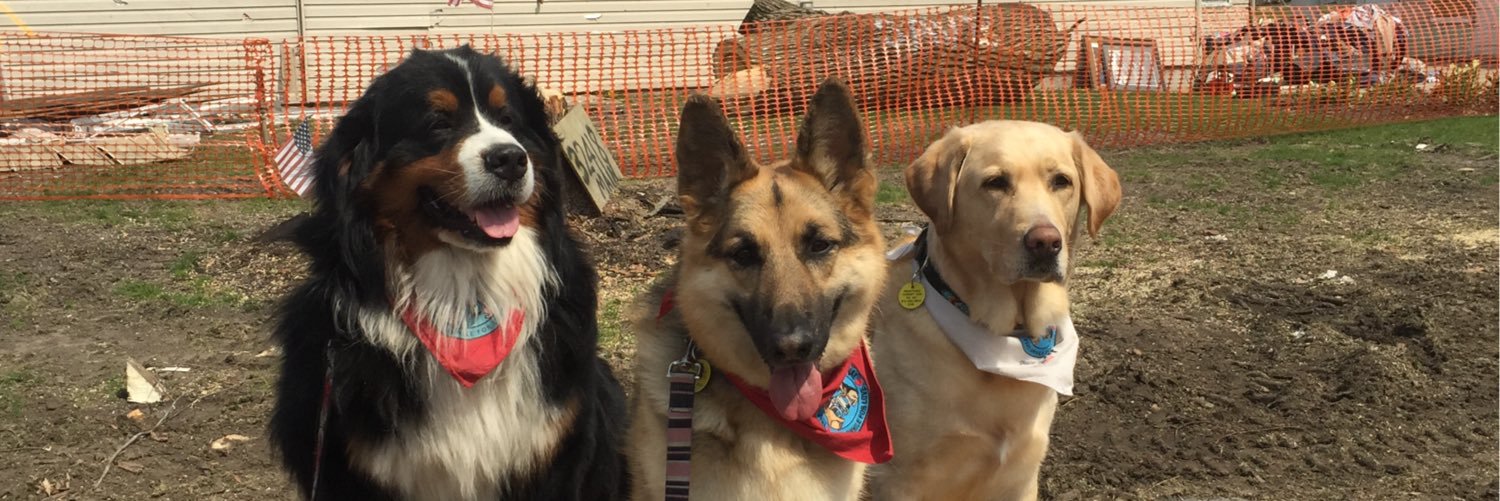 Therapy Dogs Int TDI banner