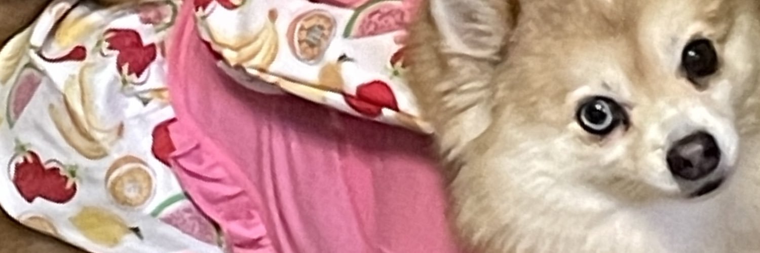 suzeeque05's profile banner image