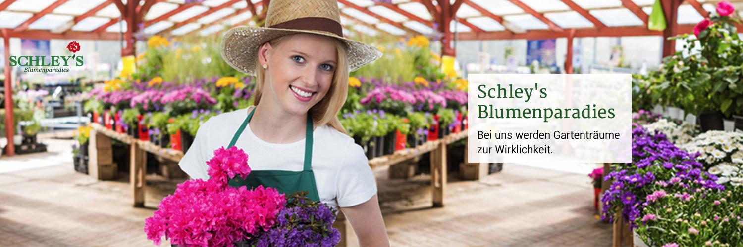 schleys_blumen's profile banner image