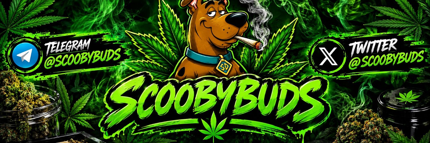 scoobybuds's profile banner image
