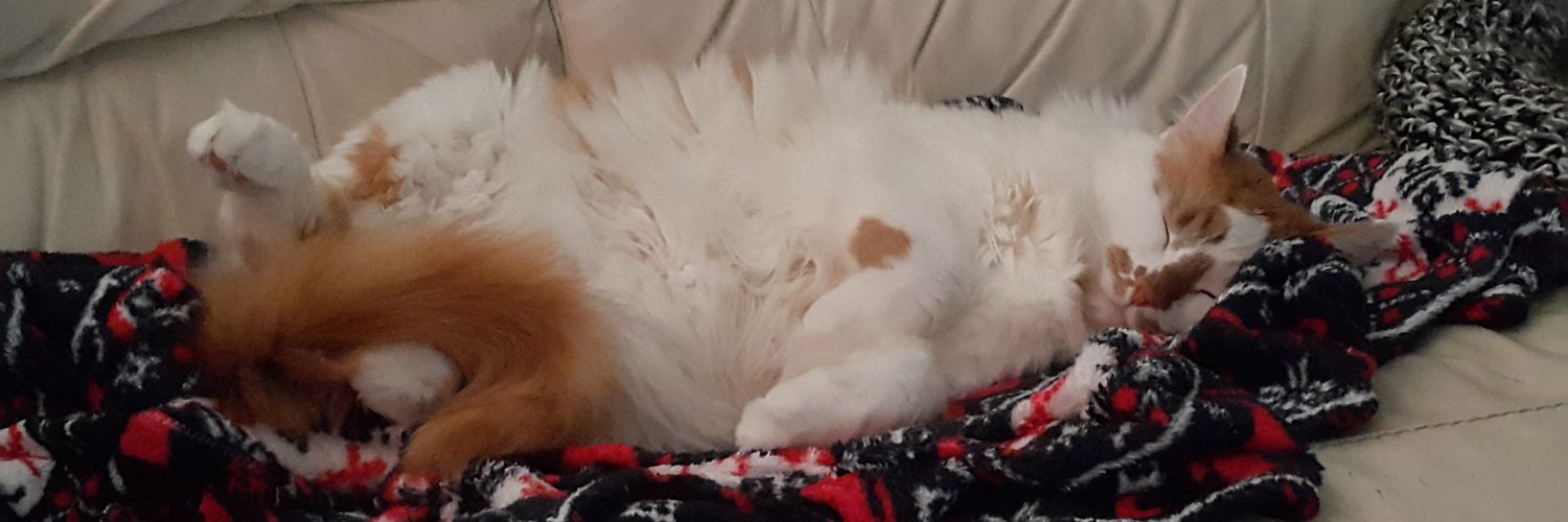 sweetbabylogan's profile banner image