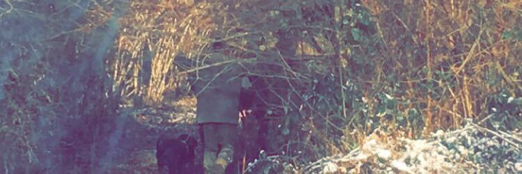 hollywall2435's profile banner image