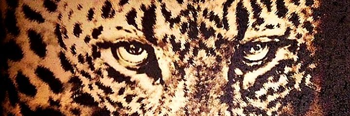 ivanavazquezz's profile banner image