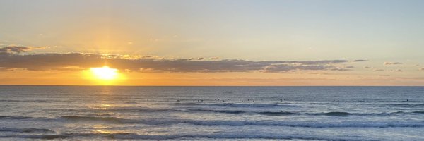 GutOptimized Profile Banner