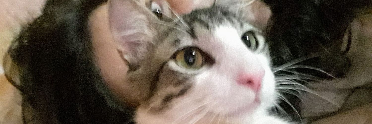 drikabarone's profile banner image