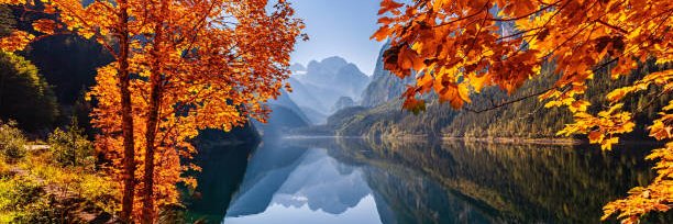 Ce Que Pensent Les ♀ banner