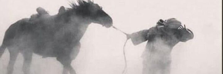 s_sinici's profile banner image