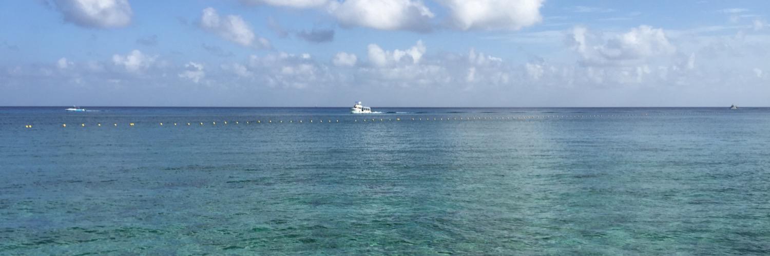 Christy Powell banner