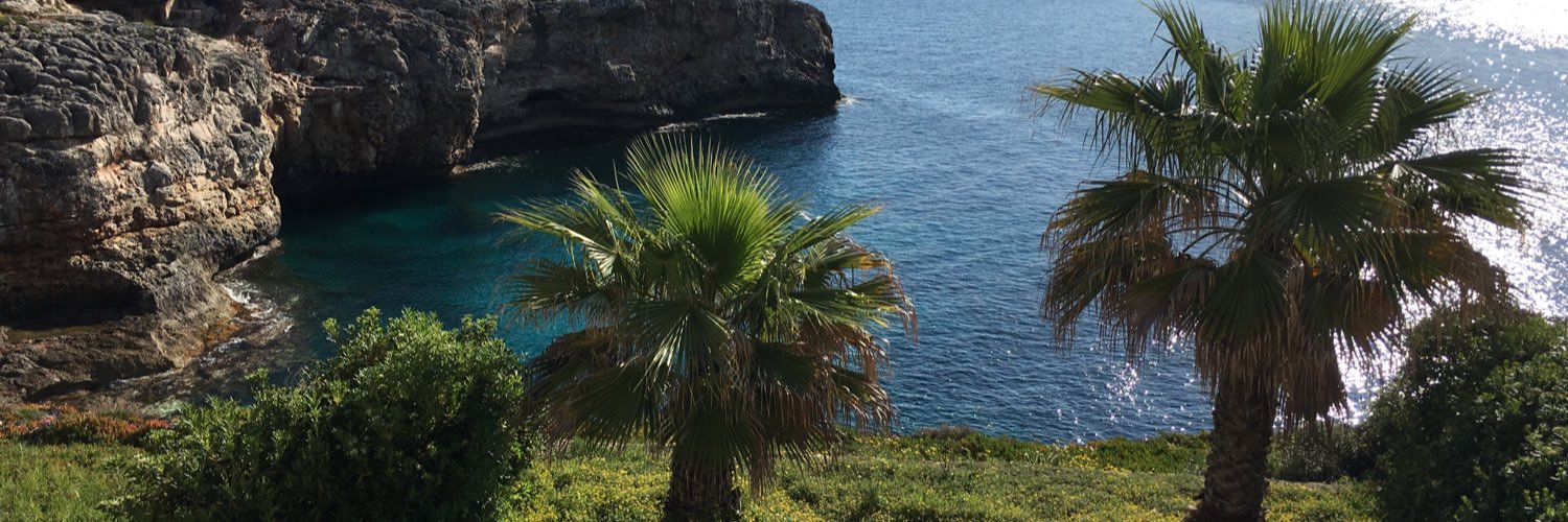 andreualcover banner