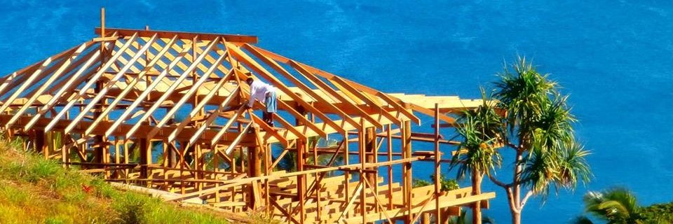 Savusavubuilder's profile banner image